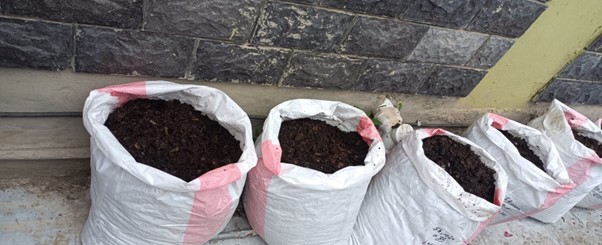 Green Initiative at RKMV Shimla  (2025-26)